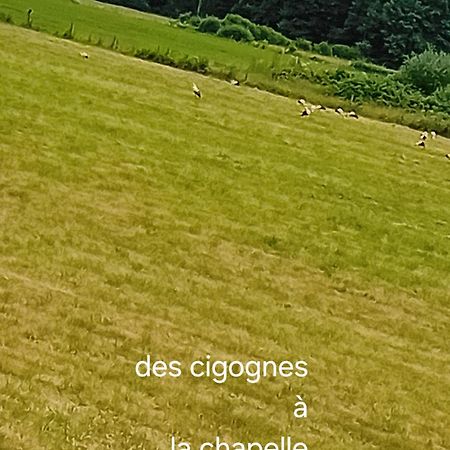 Guiguitte Lägenhet La Chapelle-les-Luxeuil Exteriör bild