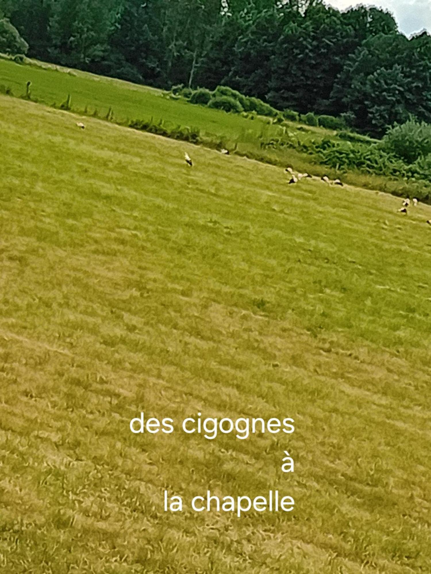 Guiguitte Lägenhet La Chapelle-les-Luxeuil Exteriör bild